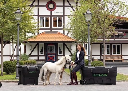 The Horsemanship Habit of Keen, Everyday Observation