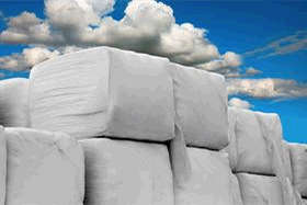 Advantages and Challenges of Haylage