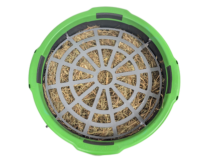Haygain Forager with ULTRA Regulator
