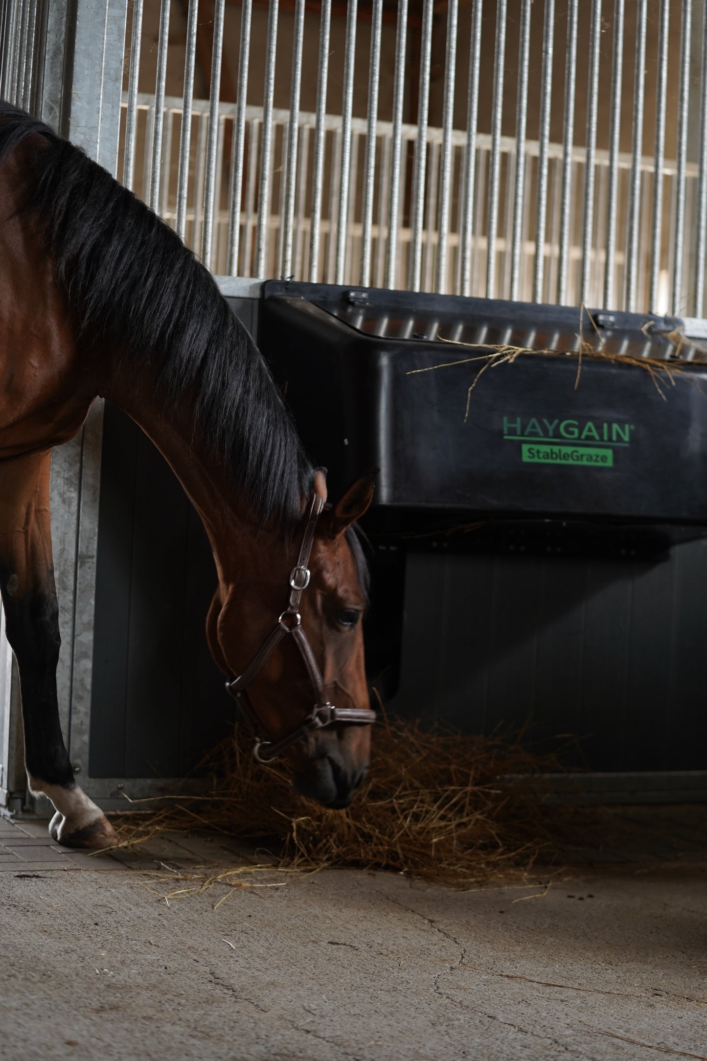 Haygain StableGraze