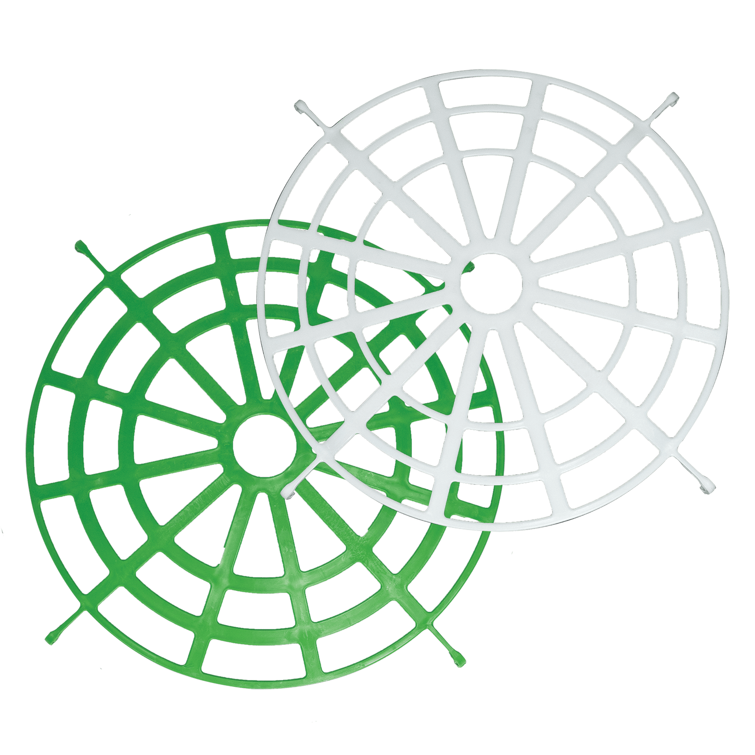 The Forager Regulator