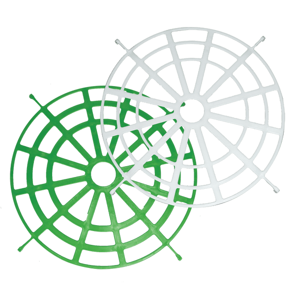 The Forager Regulator