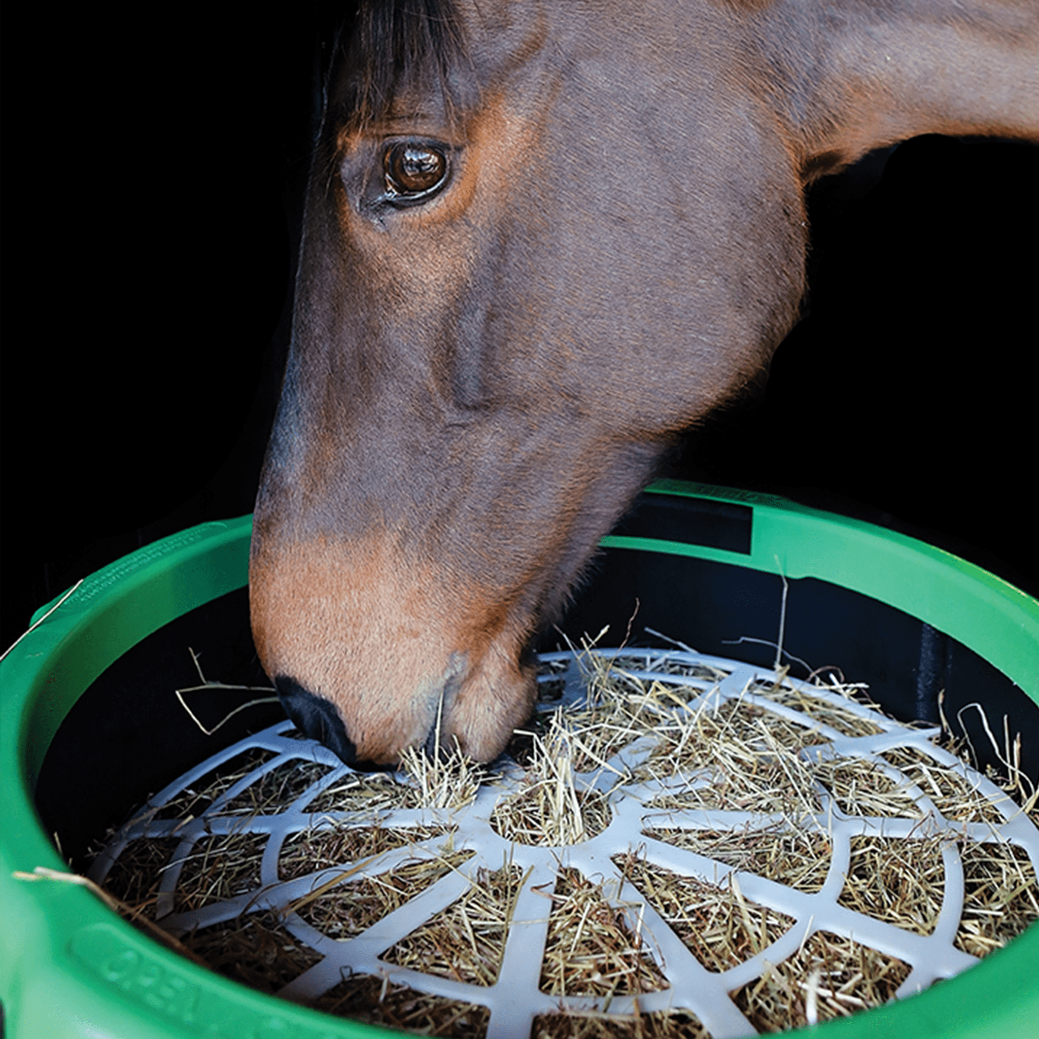 The Haygain Forager