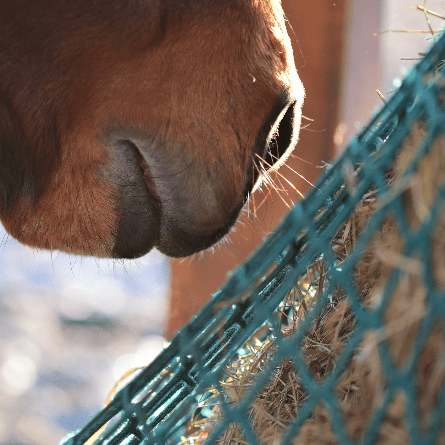 Non Shrinking Hay Net