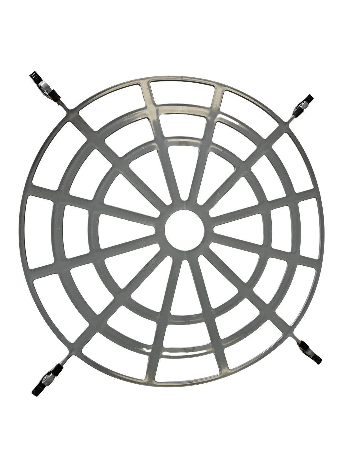 The Forager Regulator