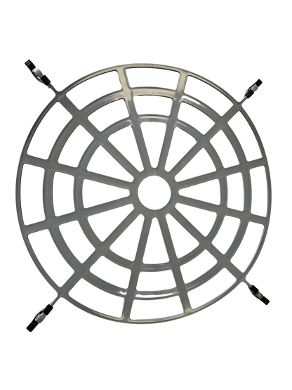 The Forager Regulator
