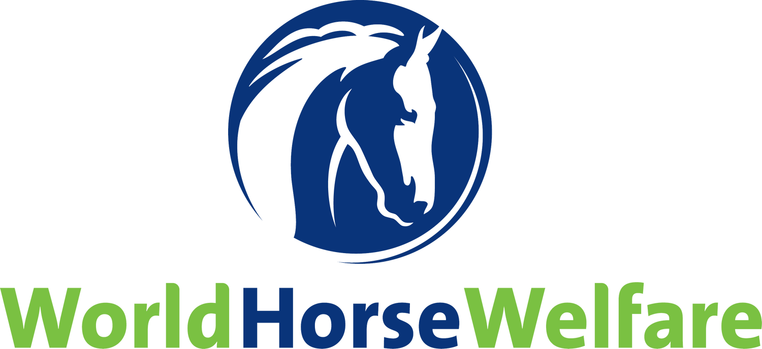 Help us to help horses in need 