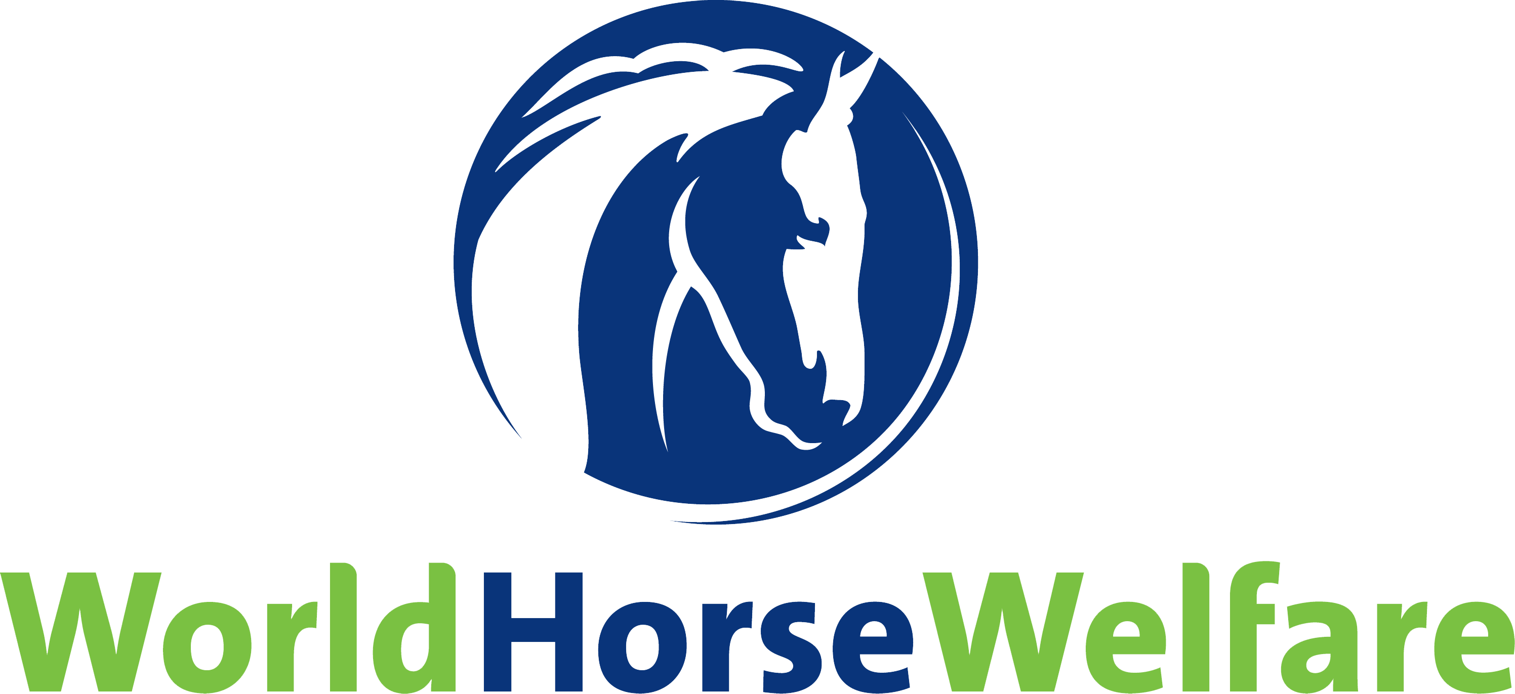 Help us to help horses in need 