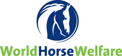 Help us to help horses in need 
