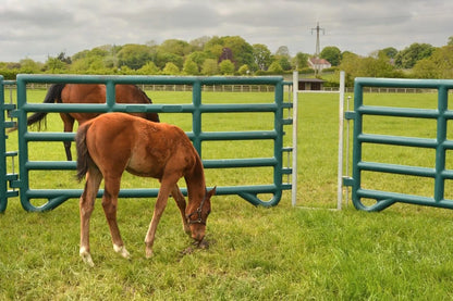 Duracorral Creep Pen